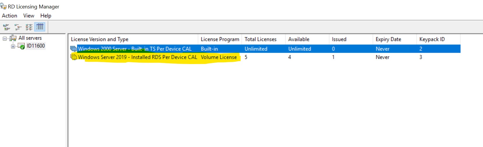 Windows Server 2019 Abilitare RDS CAL per users Register.it
