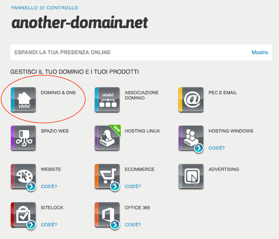 configurazione-hosting-reseller-8-domainview